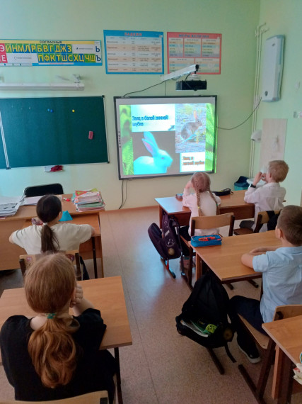 Единый "Урок доброты".